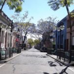 “Meet in Paradise” conquista México: David Collado reafirma el liderazgo turístico dominicano