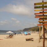 Primavera en Canadá: Los festivales que transforman el paisaje canadiense en 2026