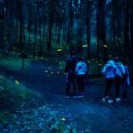 CONOCES EL PESCADO A LA TALLA? DONDE TE LO RECOMENDAMOS.