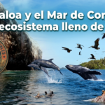 Asicotur fortalece su presencia internacional con su participación en el Festival Internacional de Turismo de las Cataratas en Brasil