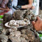 El Día Marfileño-Brasileño 2026 se llevará a cabo en la Secretaría de Turismo y Viajes del Estado de São Paulo con conferencias, degustación de platos típicos y espectáculos musicales